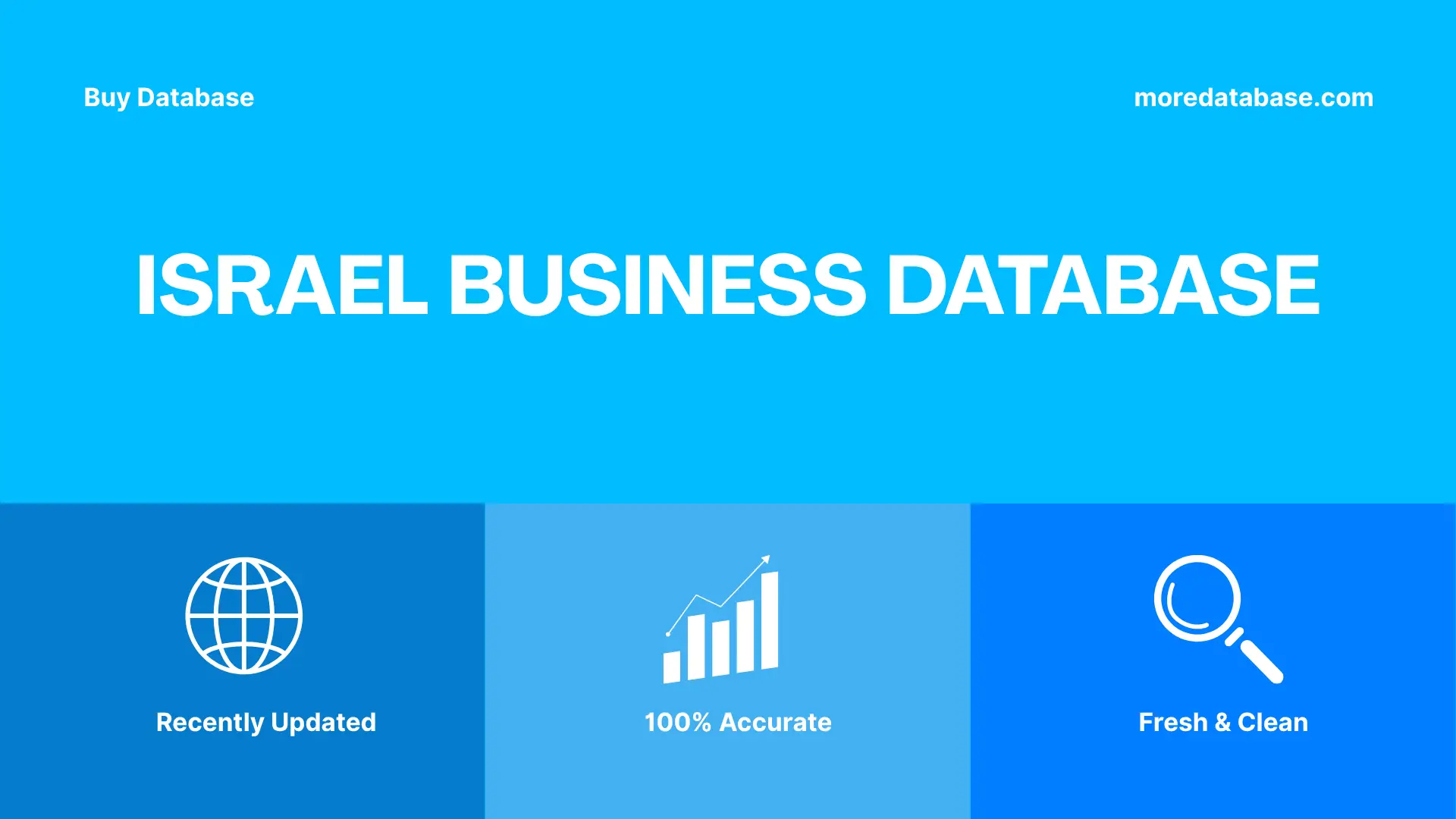 Israel Business Database